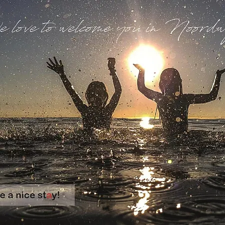 Olive Beach, Luxury Beachhouse 150 M From The *