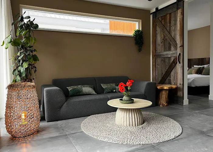 Olive Beach, Luxury Beachhouse 150 M From The Noordwijk